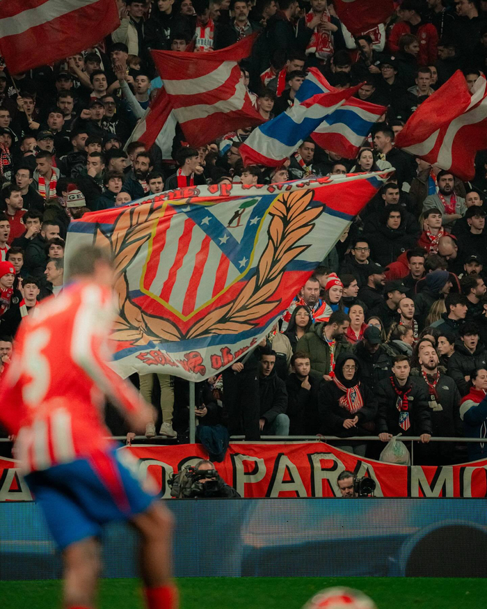 DO：纽卡求购谢什科的最新报价为至少8000万欧元（纽卡求购谢什科，最新出价不低于8000万欧元）